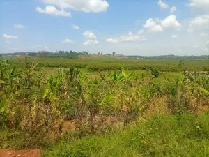 100acres of Land for Sale at Nakasongola