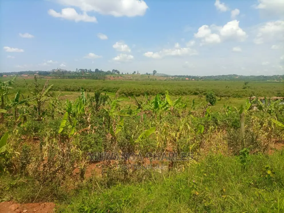 100acres of Land for Sale at Nakasongola