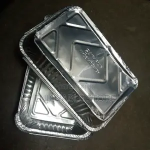 Disposable Silver Plate 25pcs in Pack