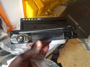 Flip Out Screen HD Radio