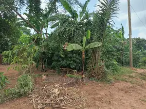 2acres for Sale at Busika