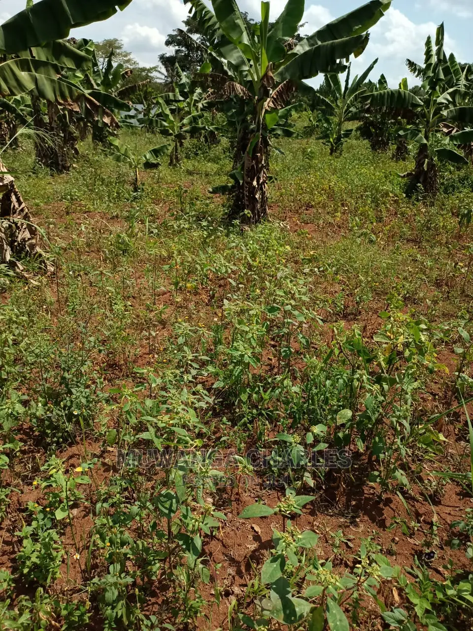 2acres for Sale at Busika