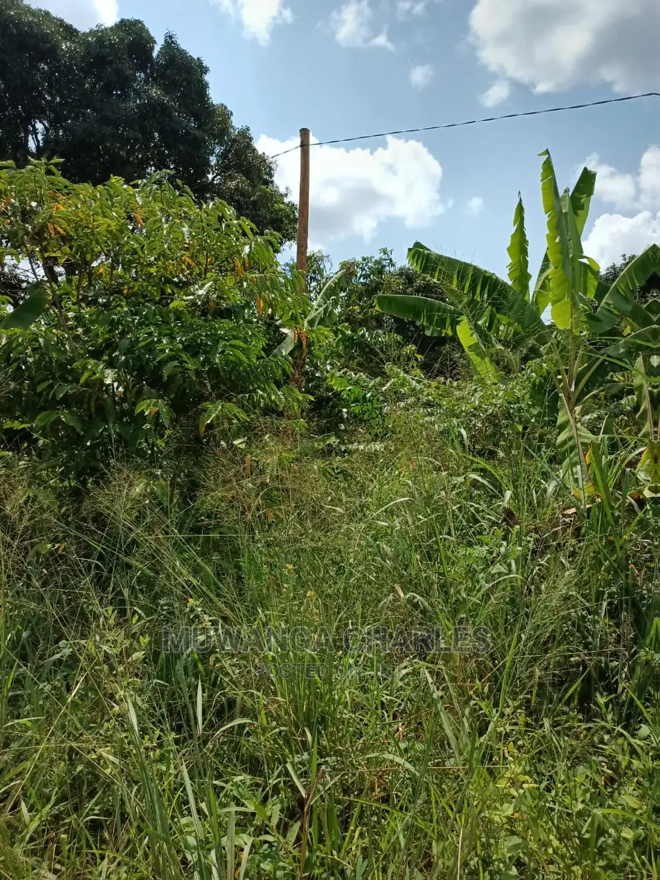 2acres for Sale at Busika