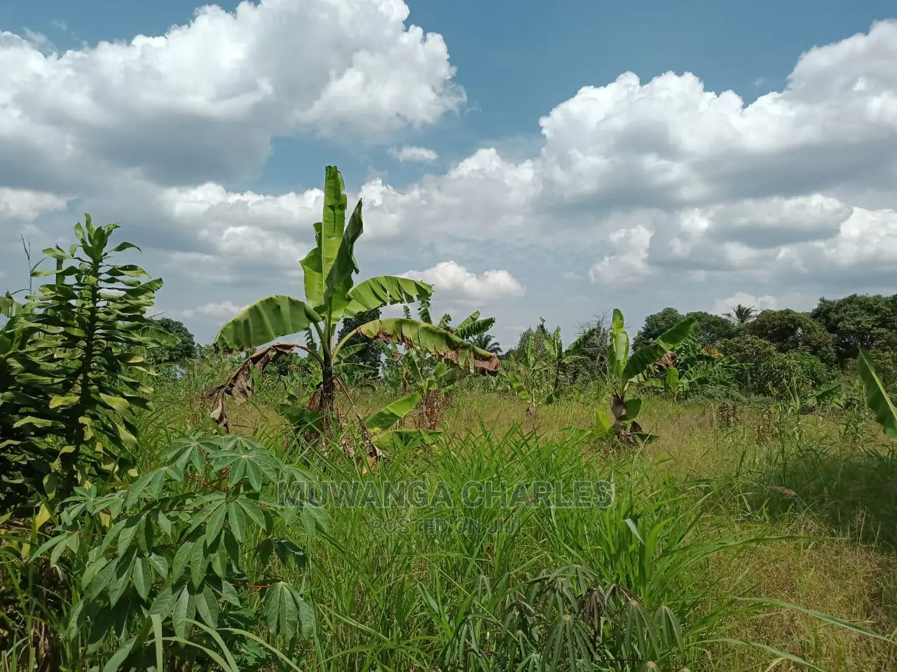 2acres for Sale at Busika