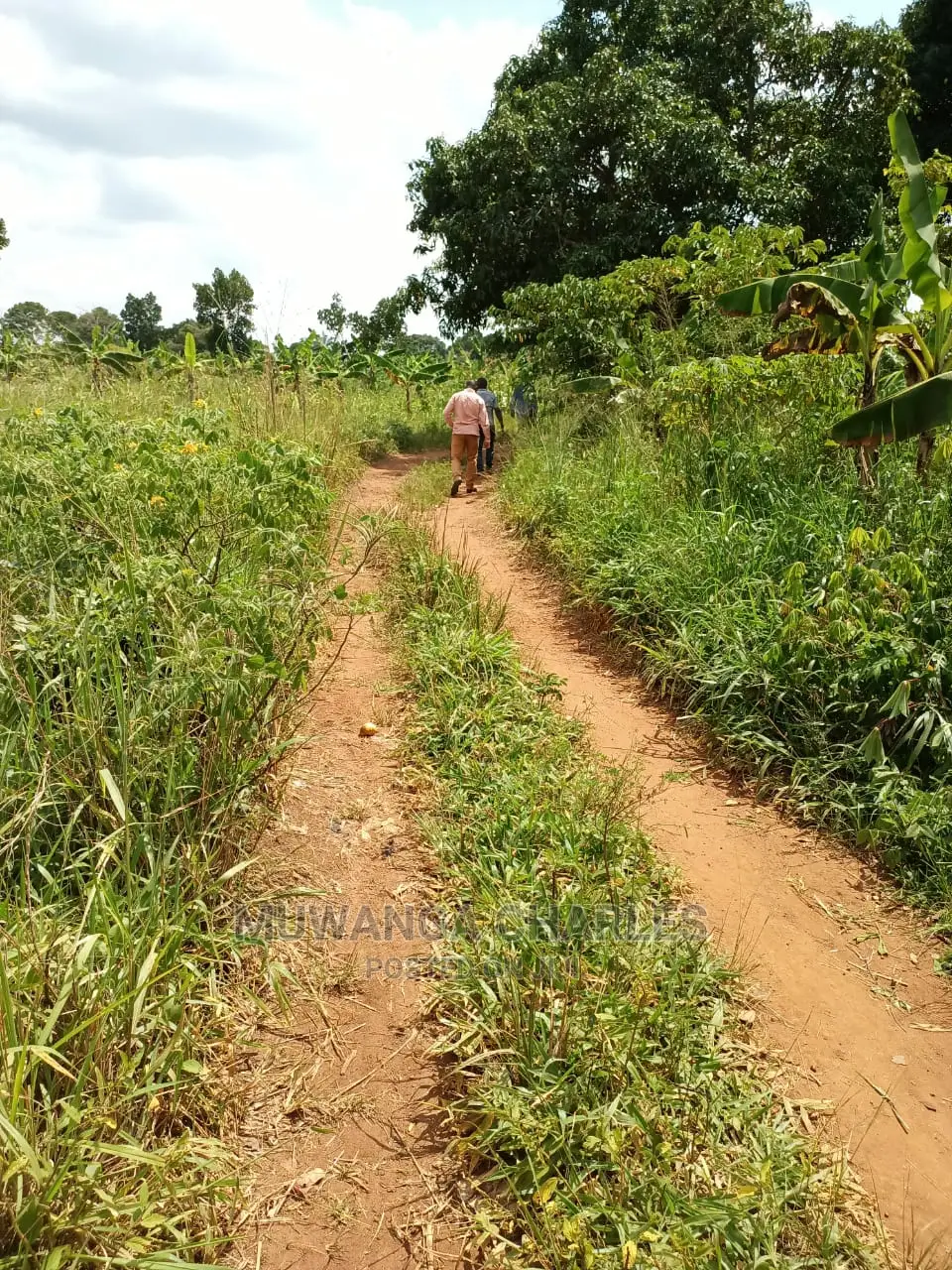 2acres for Sale at Busika