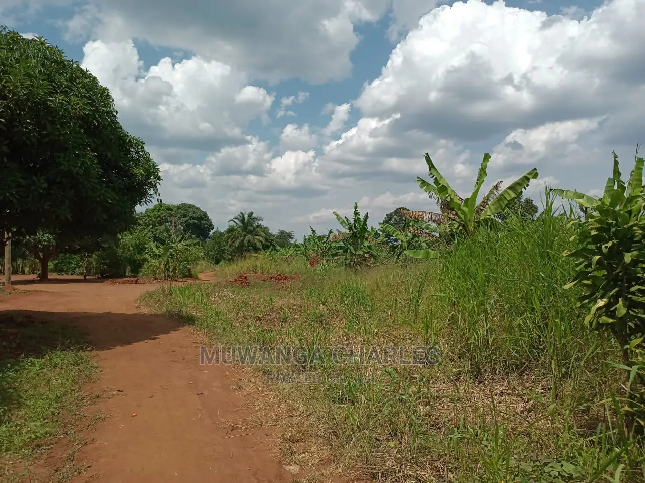 4acres of Land for Sale at Busika