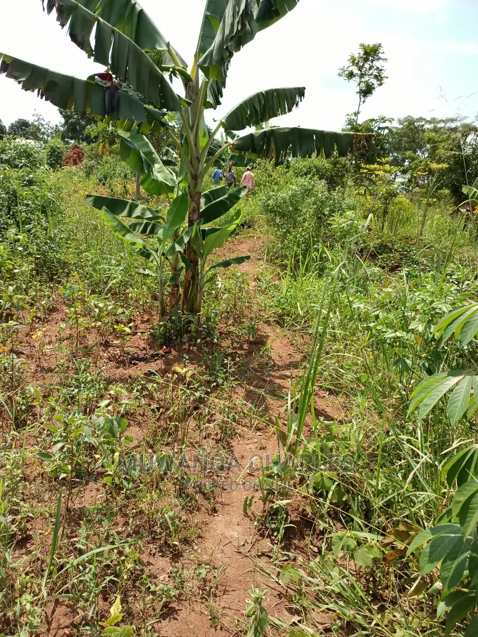 4acres of Land for Sale at Busika