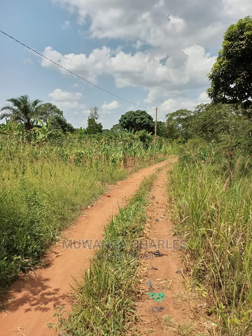 4acres of Land for Sale at Busika
