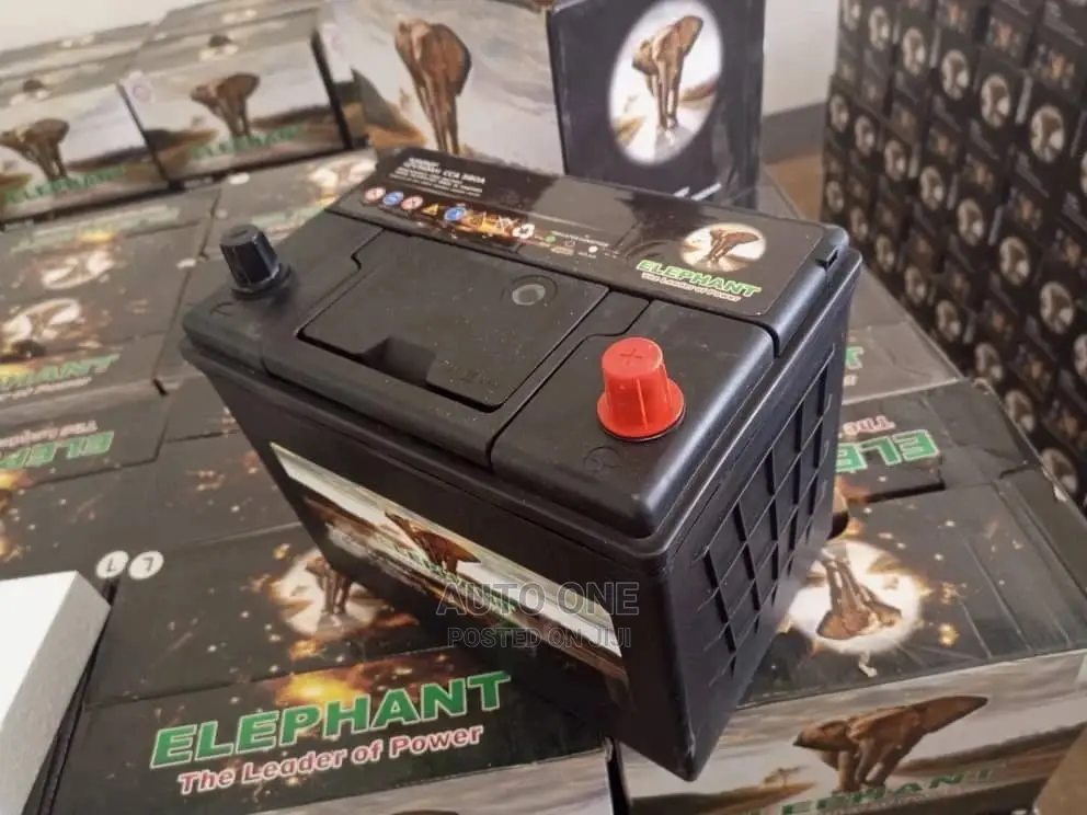 N50 Elephant Batteries.