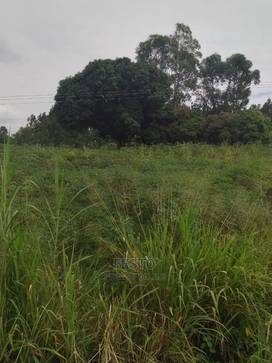 Good Plots of Land for Sale