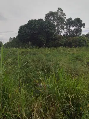 Good Plots of Land for Sale