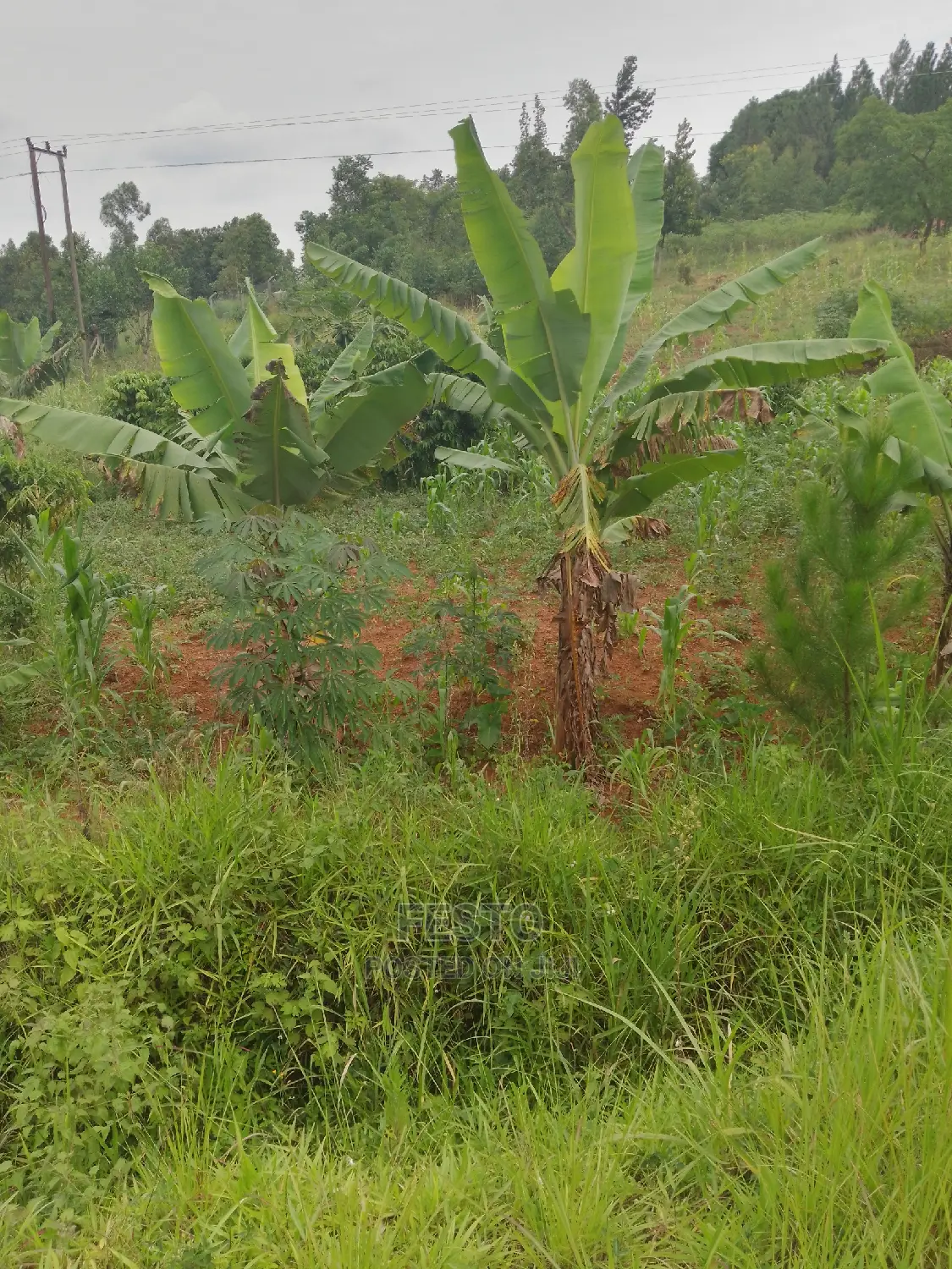 Good Plots of Land for Sale