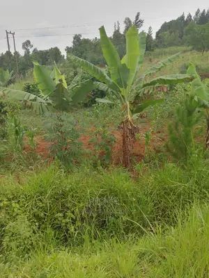 Good Plots of Land for Sale