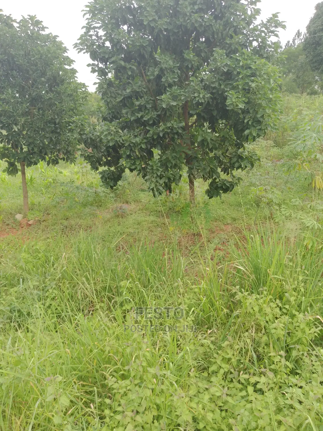 Good Plots of Land for Sale