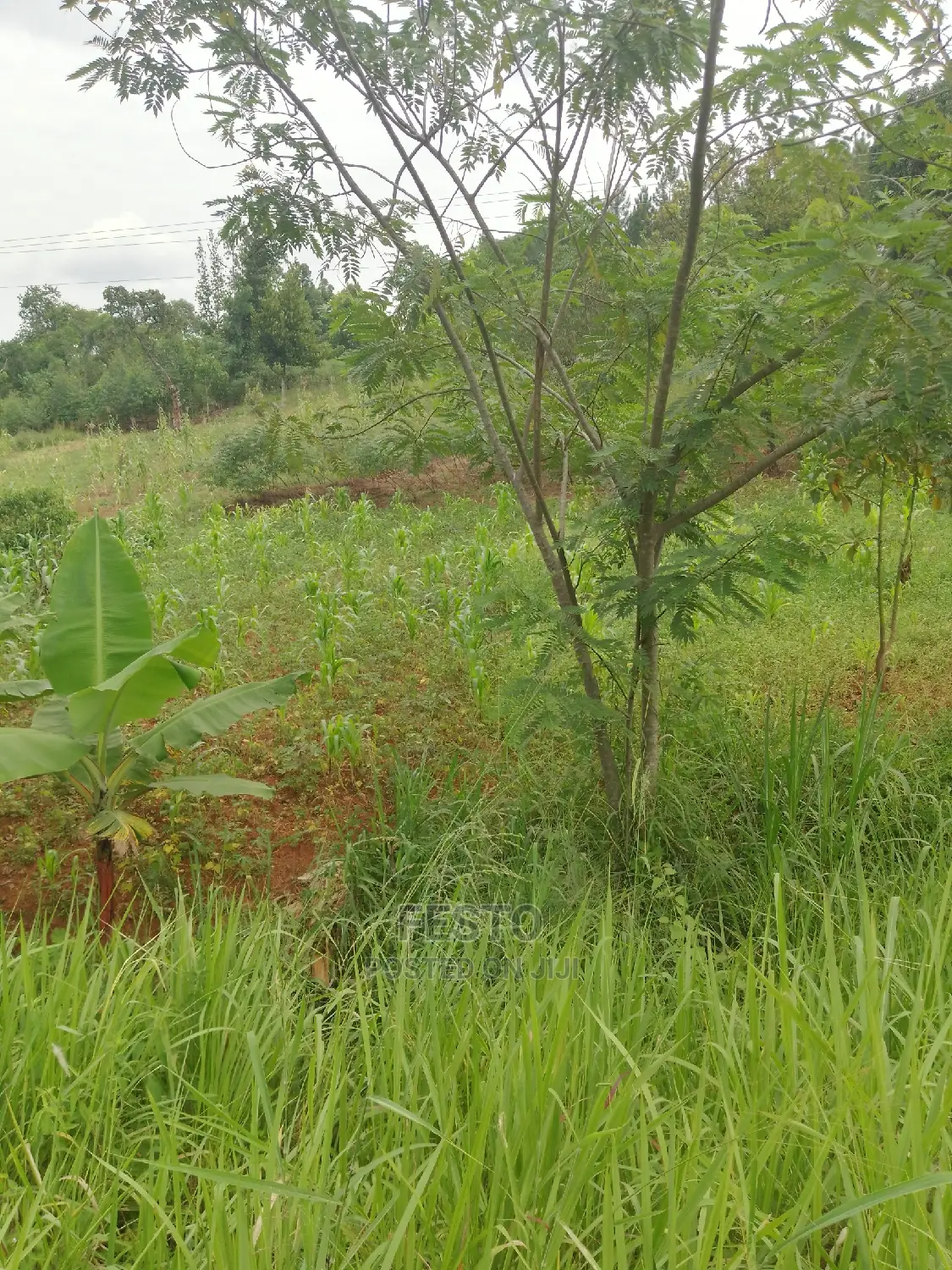 Good Plots of Land for Sale