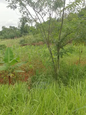 Good Plots of Land for Sale