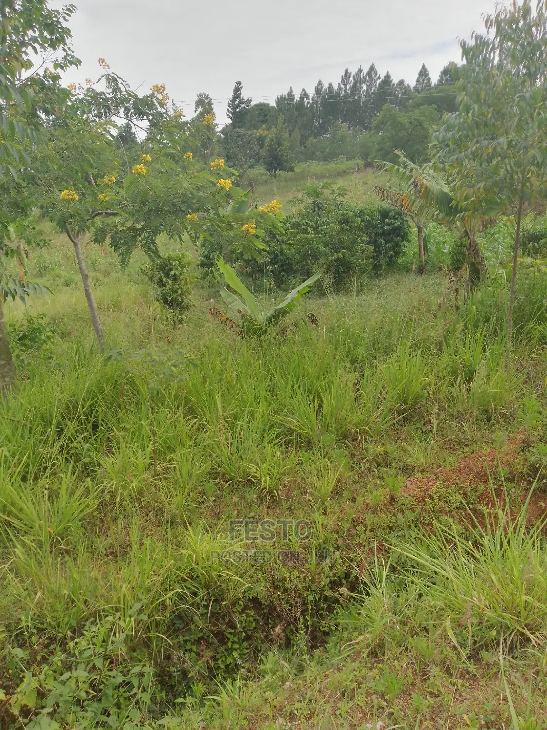 Good Plots of Land for Sale
