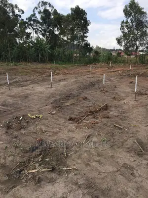 100by50ft Plot of Land for Sale at Gayaza Kabubbu