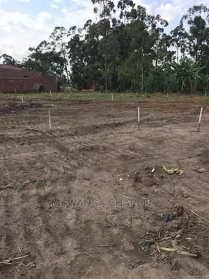 100by50ft Plot of Land for Sale at Gayaza Kabubbu