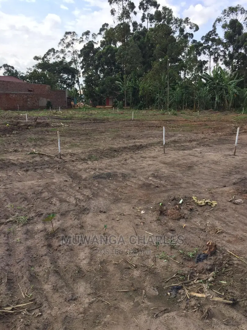 100by50ft Plot of Land for Sale at Gayaza Kabubbu