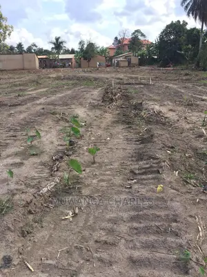 100by50ft Plot of Land for Sale at Gayaza Kabubbu