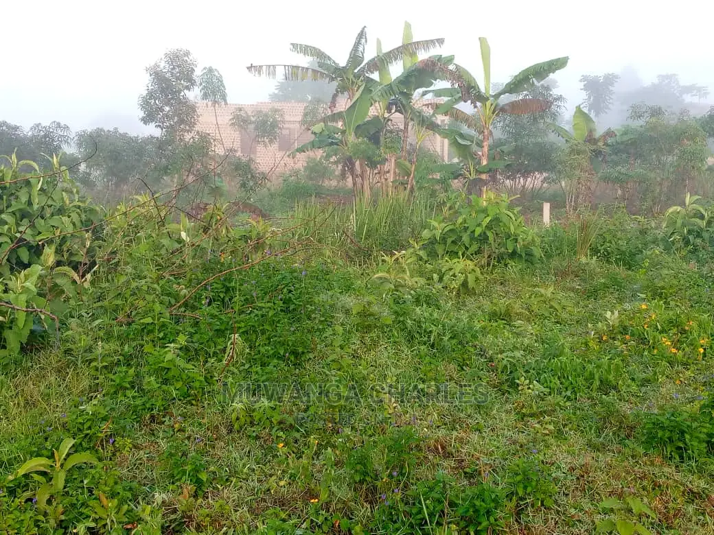 100by50ft Plot of Land for Sale at Namugongo