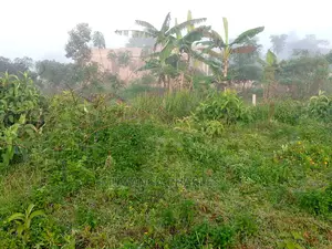 100by50ft Plot of Land for Sale at Namugongo