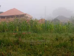 100by50ft Plot of Land for Sale at Namugongo