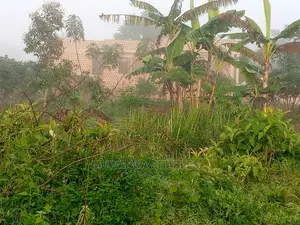 100by50ft Plot of Land for Sale at Namugongo