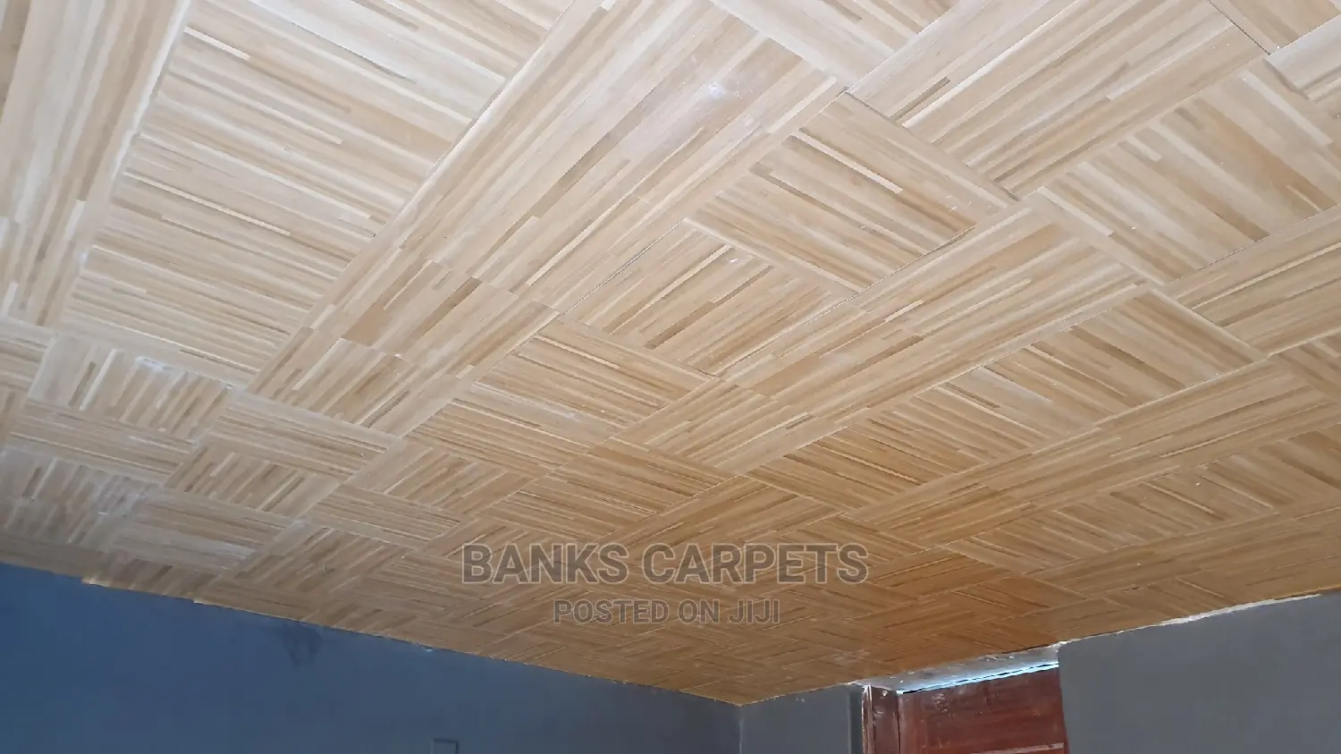 Pvc Plastic Carpets
