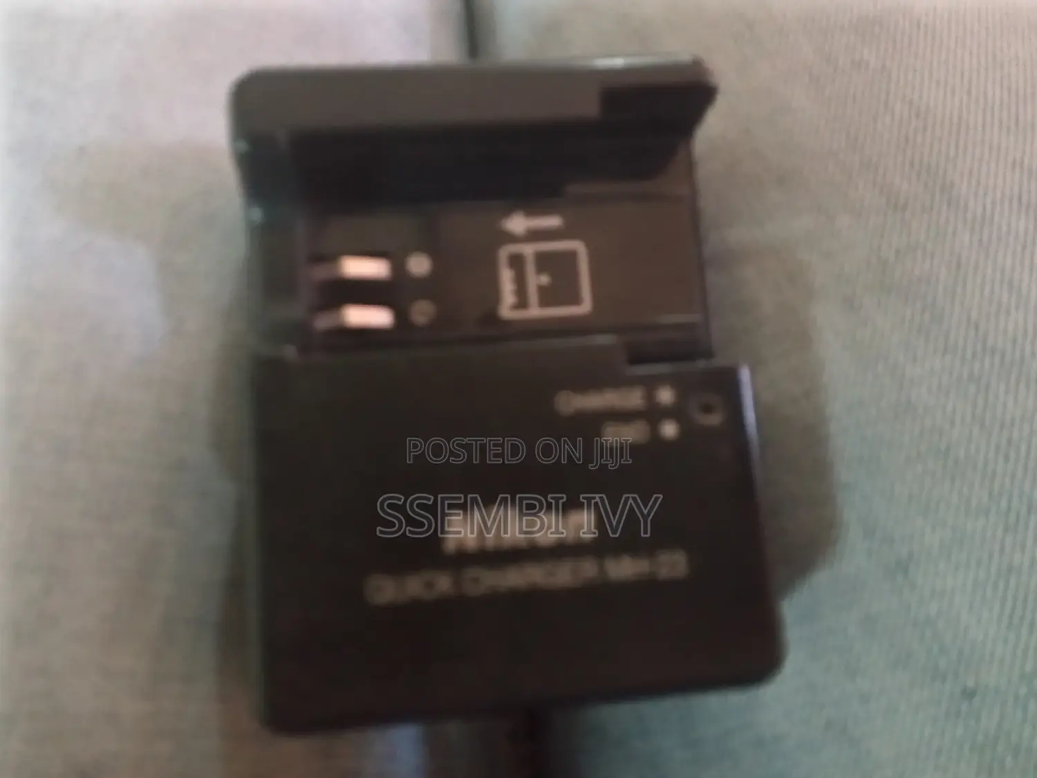 Nikon-Charger.