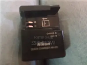 Nikon-Charger.