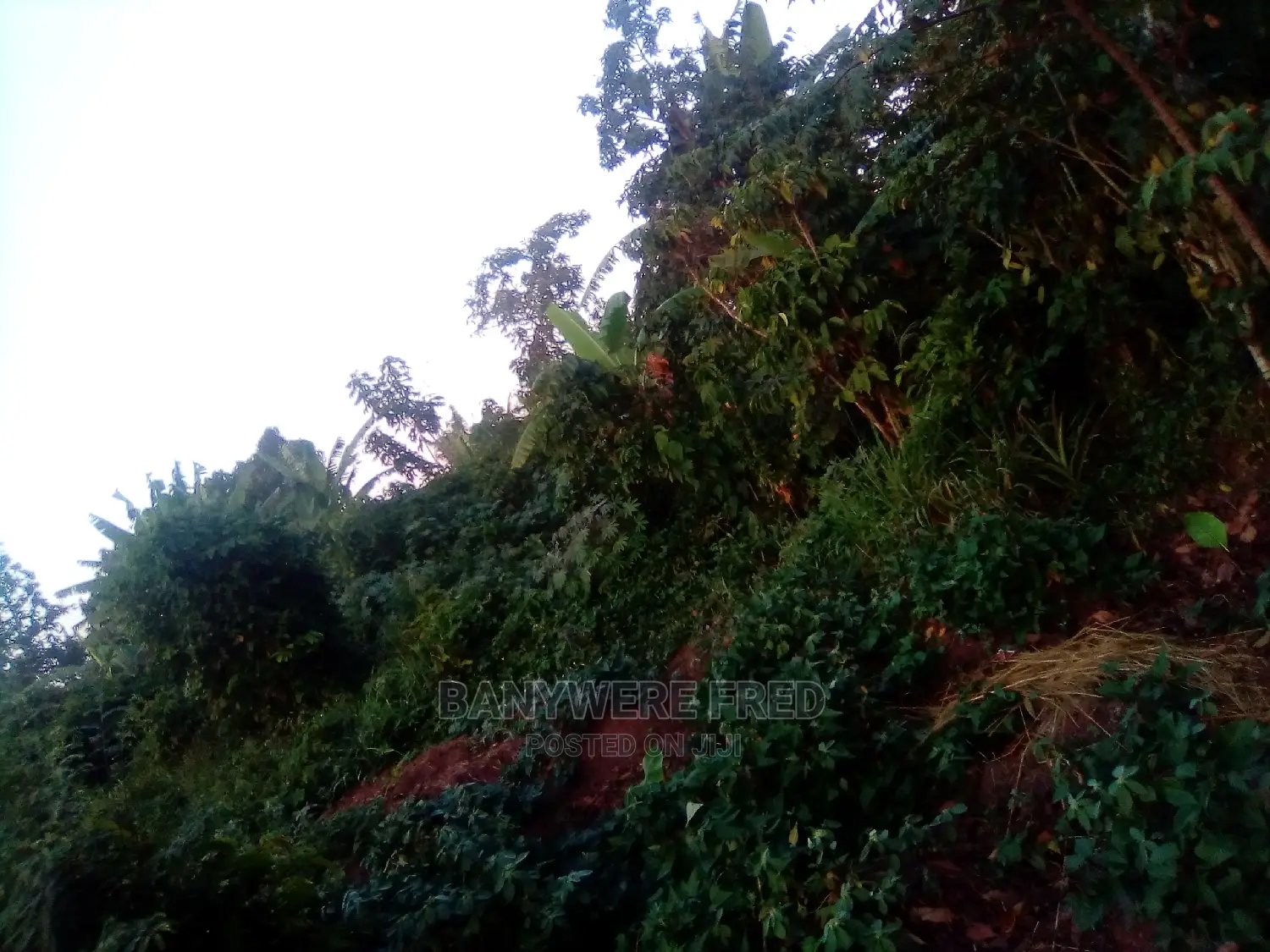 7acres of Farmland for Sale in Nkokonjeru Masaba