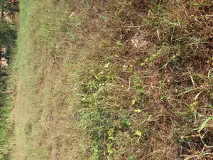 Kira Nicely Shaped Plot on Sell
