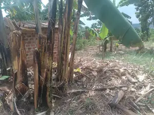 100by50ft of Land for Sale at Kira