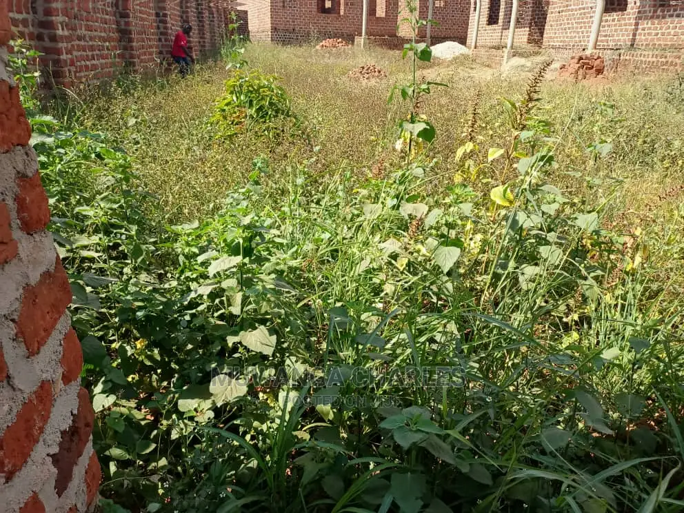 100by50ft Plot of Land for Sale at Nakwero