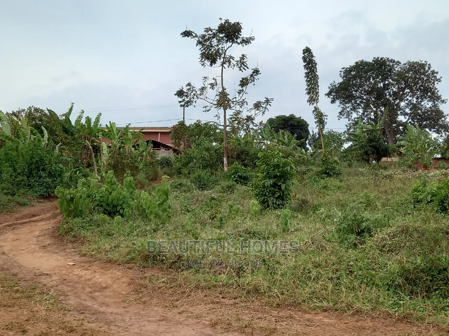 Nakwero Residential Land for Sell