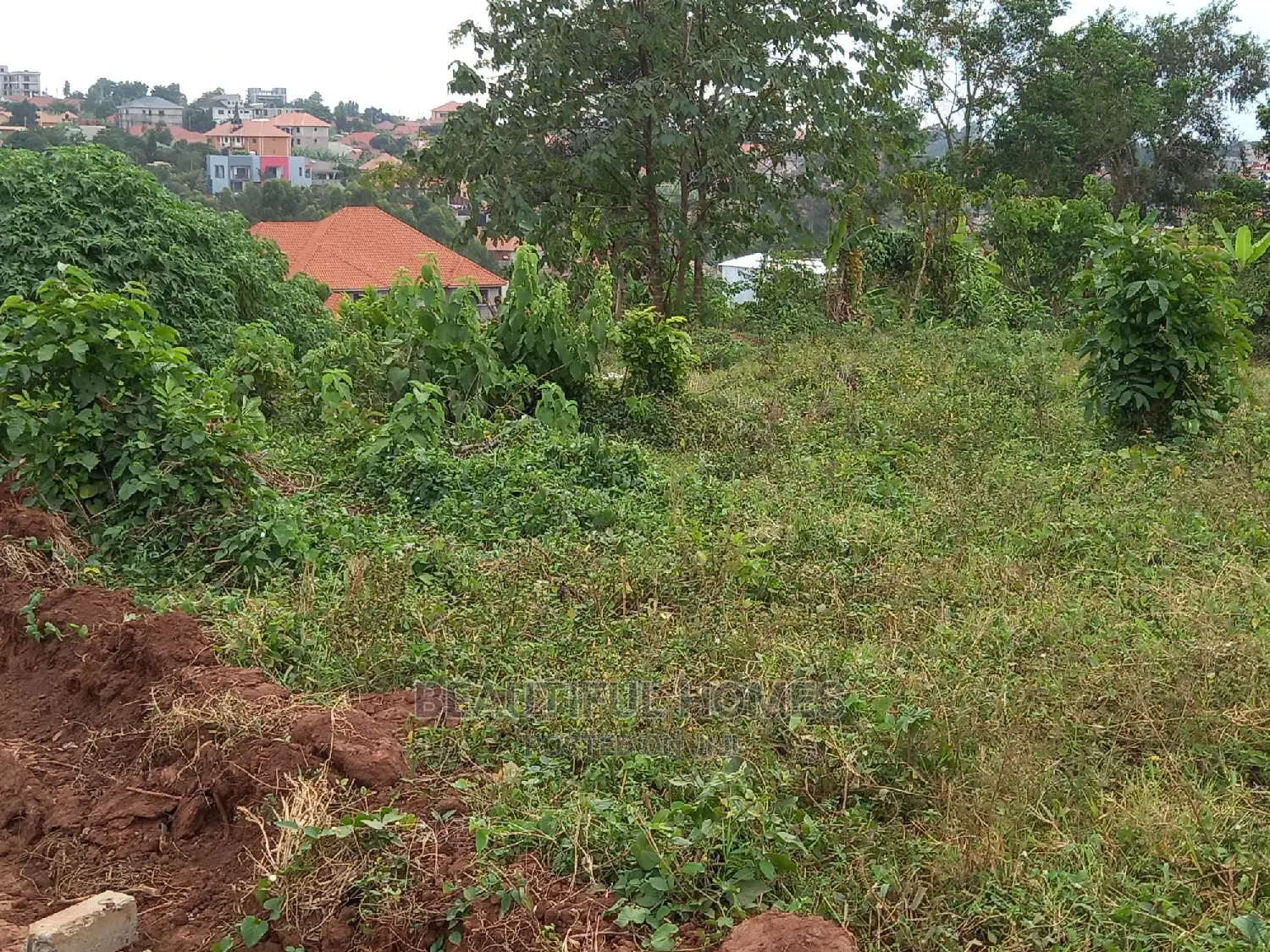 Nakwero Classy Land for Sale