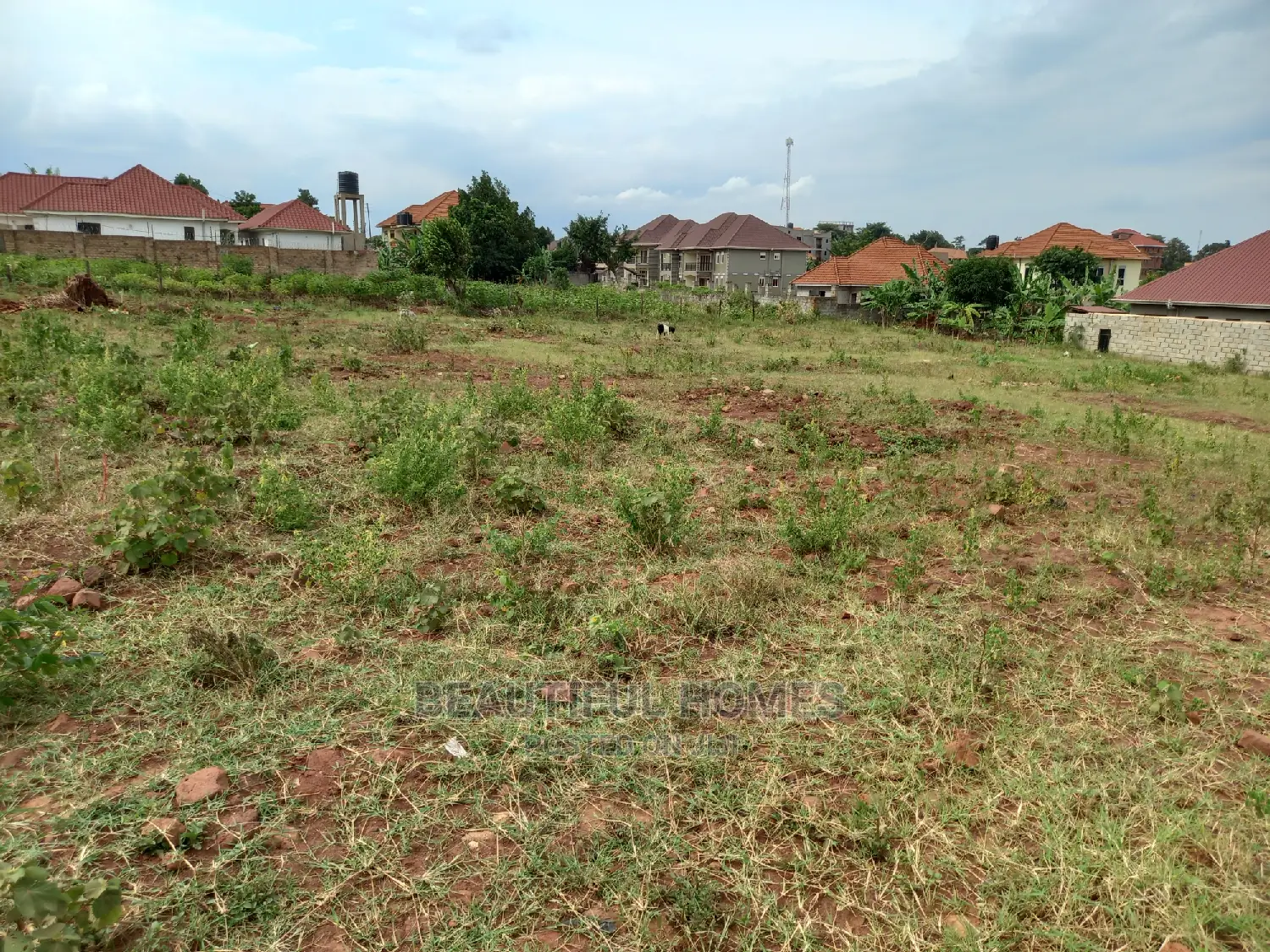 Nice Land at Nakwero for Sale