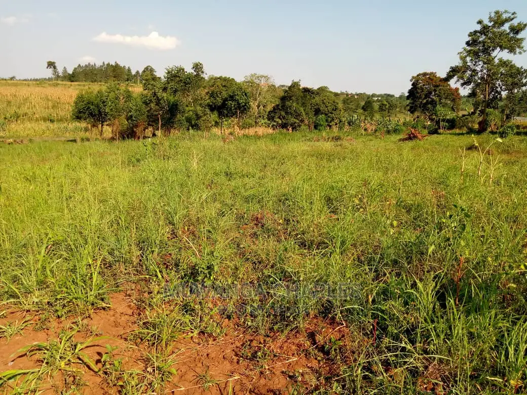 100by50ft Plot of Land for Sale Kiwenda