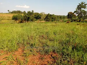 100by50ft Plot of Land for Sale Kiwenda