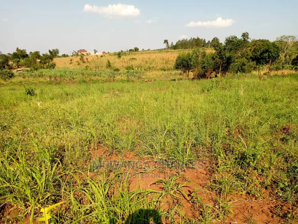 100by50ft Plot of Land for Sale Kiwenda
