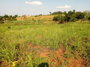 100by50ft Plot of Land for Sale Kiwenda