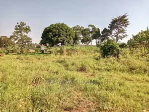 100by50ft Plot of Land for Sale Kiwenda