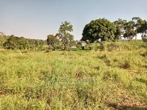 100by50ft Plot of Land for Sale Kiwenda