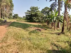 100by50ft Plot of Land for Sale Kiwenda