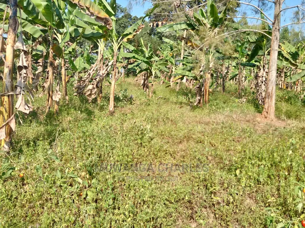 100by50ft Plot of Land for Sale Kiwenda