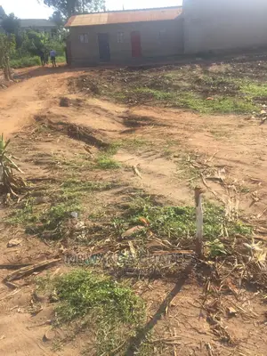 100by100ft Plot of Land for Sale at Kira