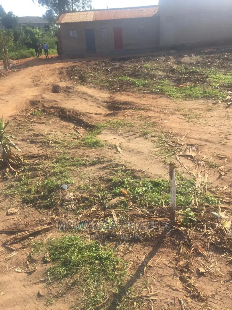 100by100ft Plot of Land for Sale at Kira