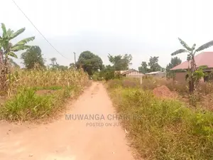100by50ft Plot of Land for Sale at Bombo
